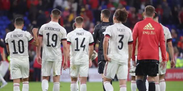 PG电子平台网站-【观察】后防换代任重道远 老迈比利时能有何选择？